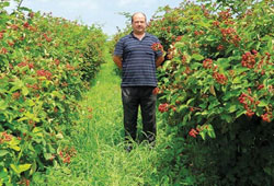 Hobisi işi oldu müşteri kapıya dizildi