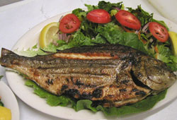 Omega 3 okutuyor