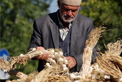 Üreticiyi Çin sarımsağı vurdu