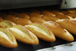 3 milyon ekmek fırınlarda israf oluyor