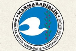 Marmarabirlik 2013'ü 