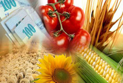 Tarım ürünleri ihracatı arttı