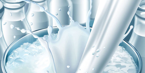 Süt üreticileri istikrarsızlıktan rahatsız