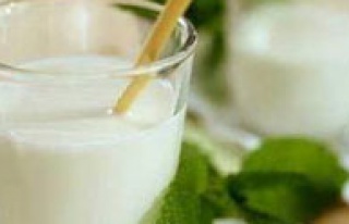 Kefir ve kımız araştırmalara konu oluyor