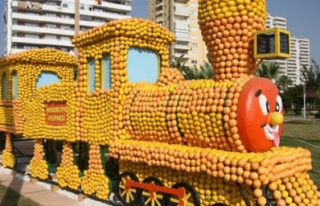 Mersin 70 ton narenciyeyle süslendi